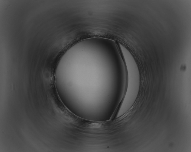 X0000091190176200708301245