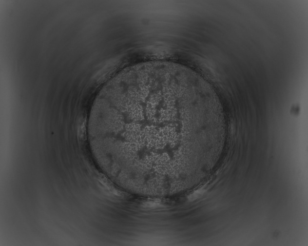 X0000091190177200708301245