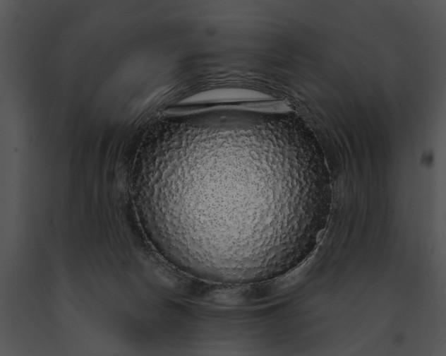 X0000091190178200708301245