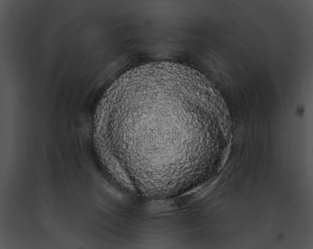 X0000091190179200708301245