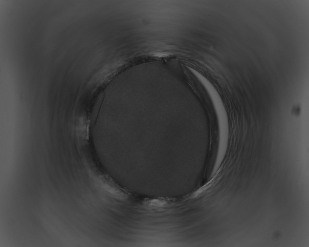 X0000091190180200708301245