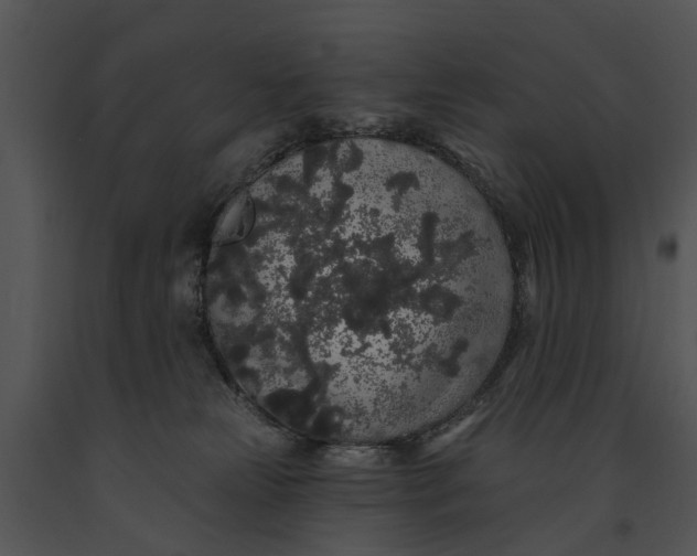 X0000091190181200708301245