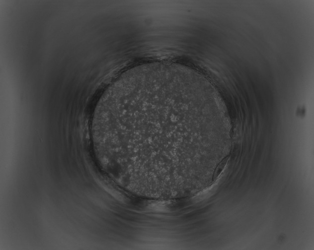 X0000091190182200708301245