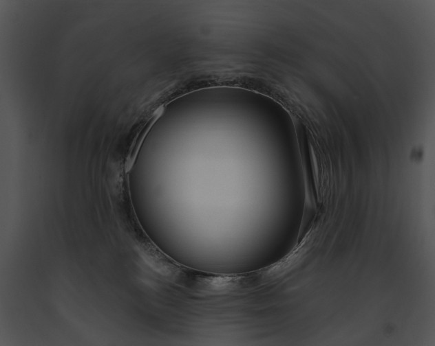 X0000091190184200708301245