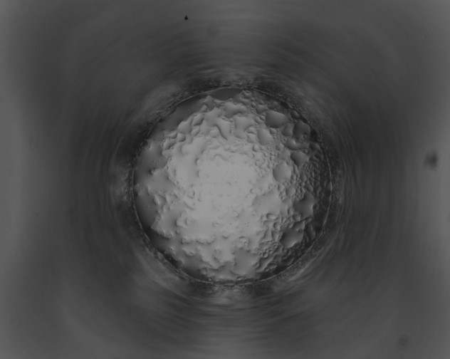 X0000091190185200708301245