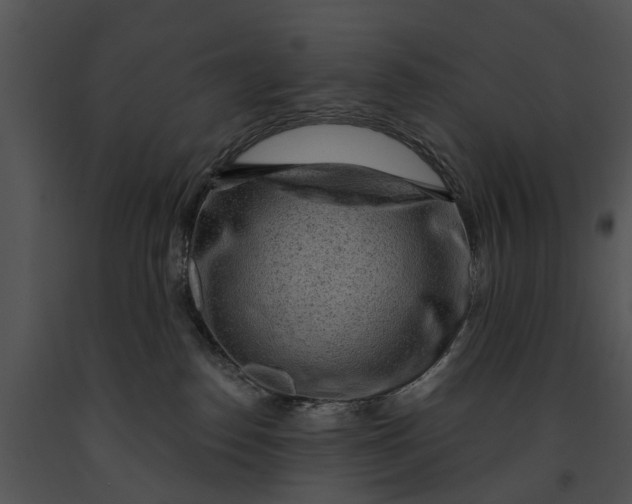 X0000091190186200708301245