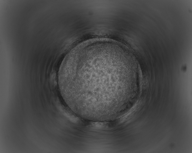 X0000091190187200708301245