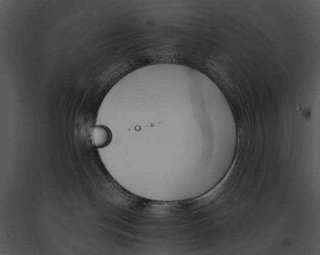 X0000091190190200708301245