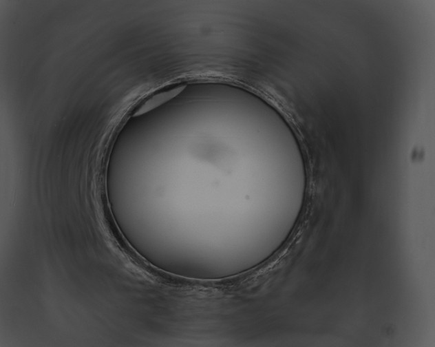 X0000091190193200708301244