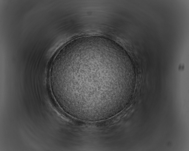 X0000091190194200708301244