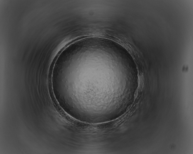 X0000091190195200708301244