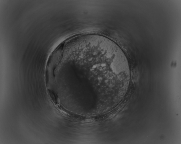 X0000091190196200708301244