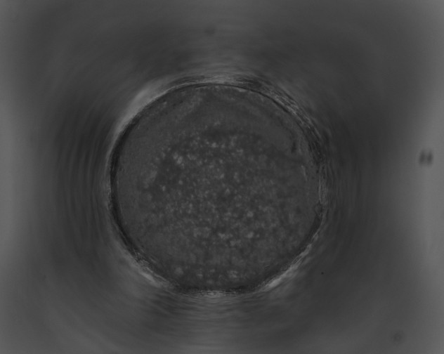 X0000091190198200708301244