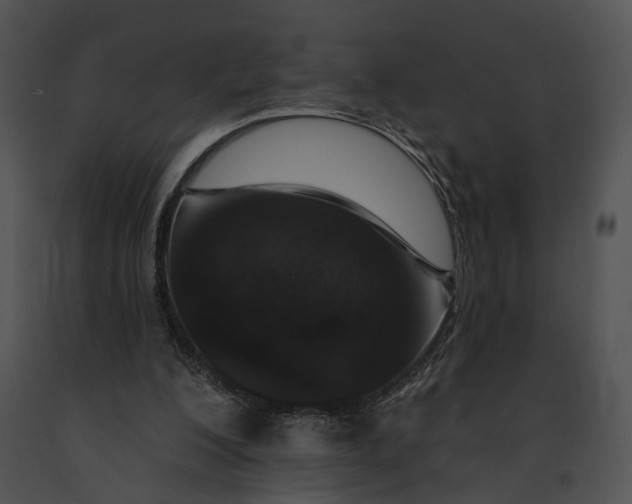 X0000091190200200708301244