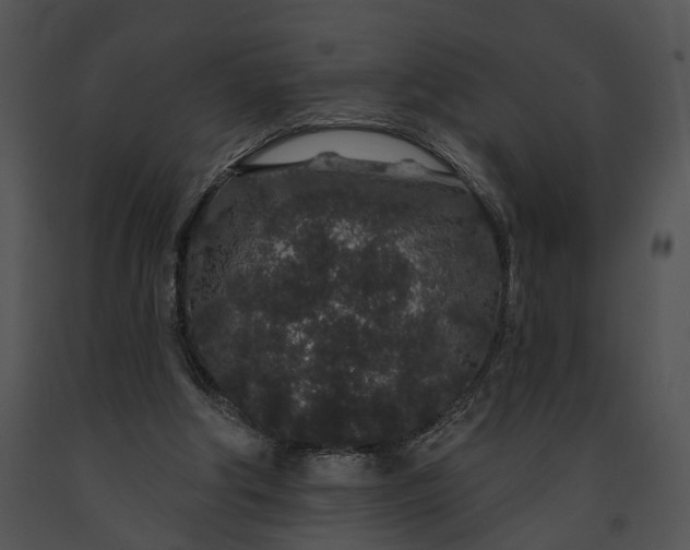 X0000091190202200708301244