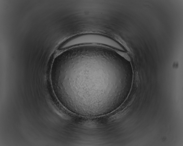 X0000091190203200708301244