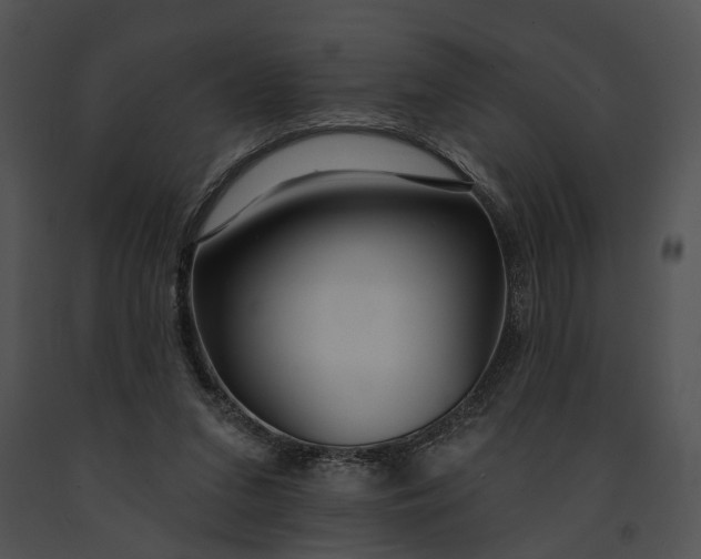 X0000091190207200708301244