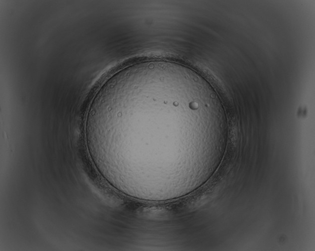 X0000091190208200708301244