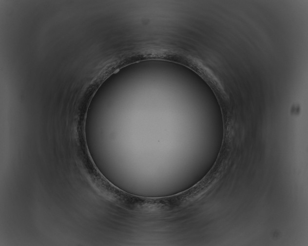 X0000091190209200708301244