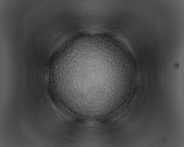 X0000091190210200708301244