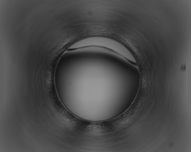 X0000091190211200708301244