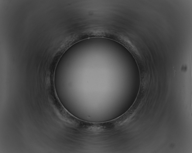 X0000091190213200708301244