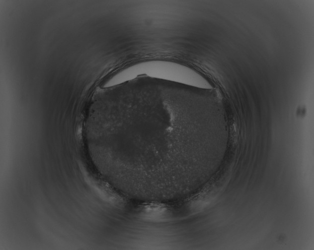 X0000091190214200708301244