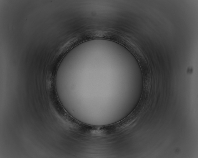 X0000091190216200708301244