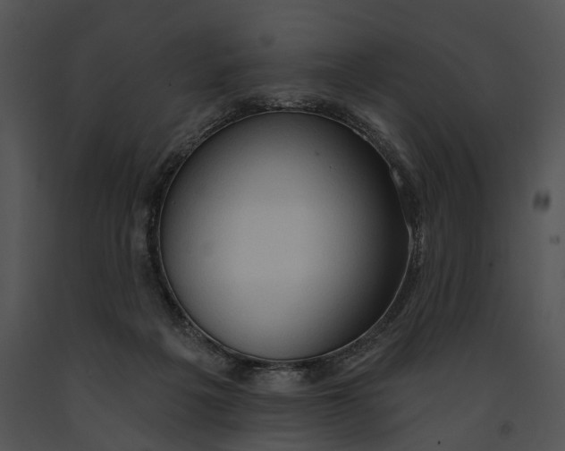 X0000091190217200708301244