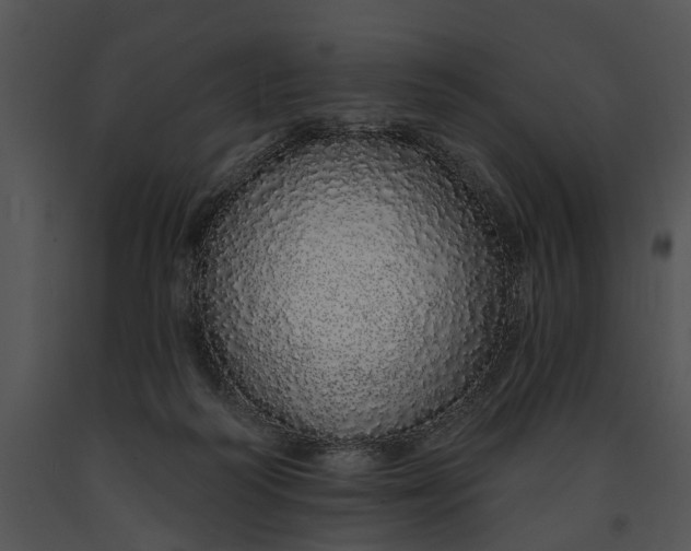 X0000091190218200708301244