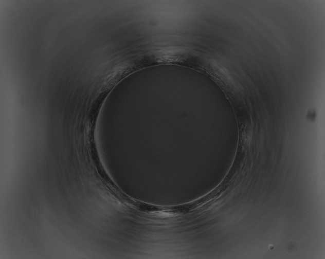 X0000091190219200708301244