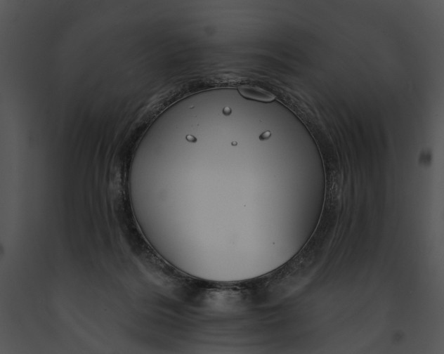 X0000091190220200708301244