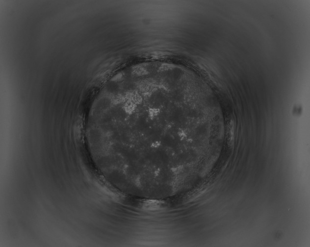 X0000091190222200708301244