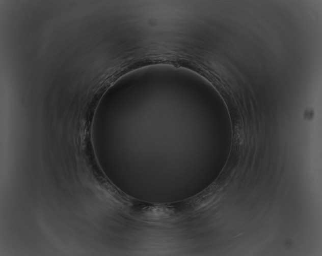 X0000091190223200708301244