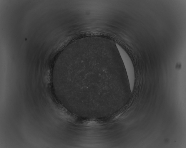 X0000091190224200708301244