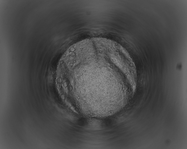 X0000091190226200708301244