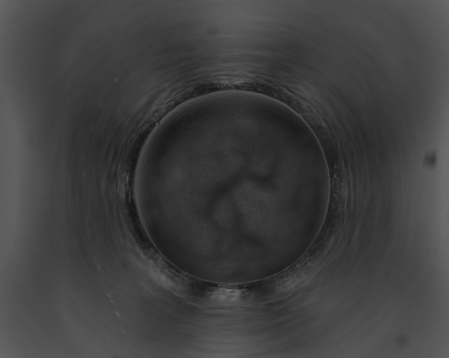 X0000091190227200708301244