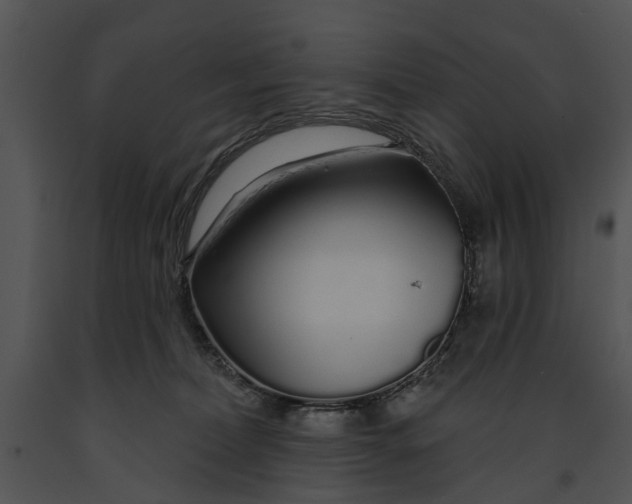 X0000091190228200708301244