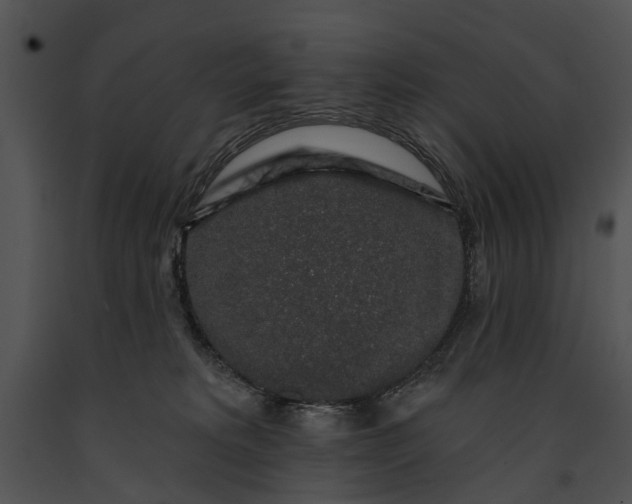 X0000091190229200708301244