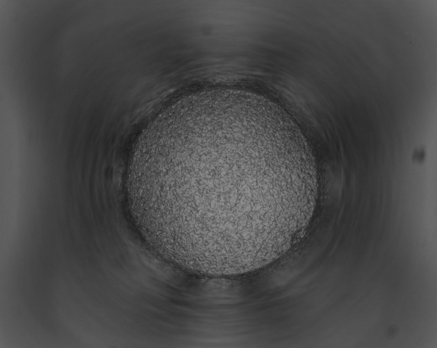 X0000091190230200708301244