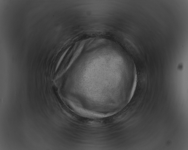 X0000091190232200708301244