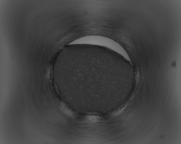 X0000091190233200708301243