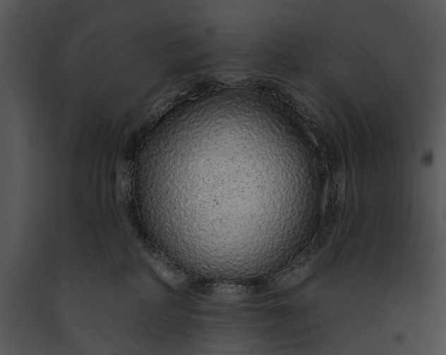 X0000091190234200708301243