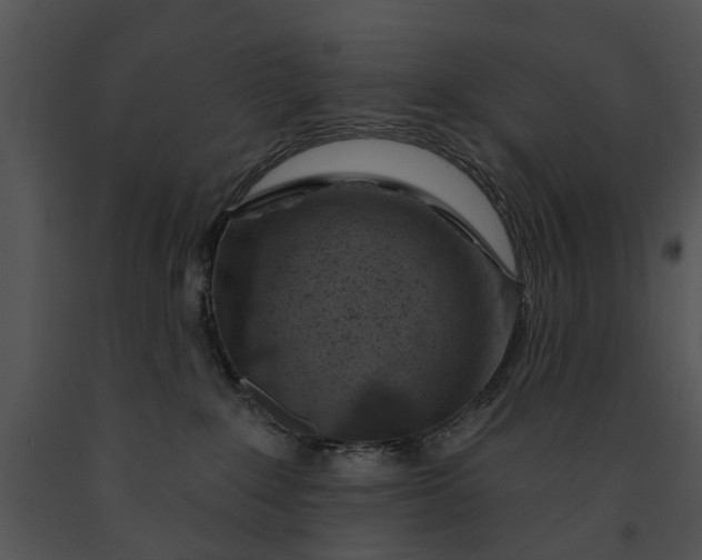 X0000091190235200708301243