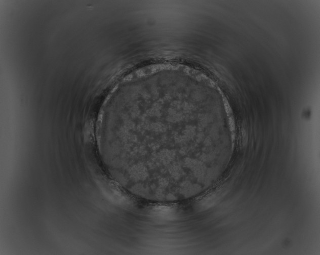 X0000091190236200708301243