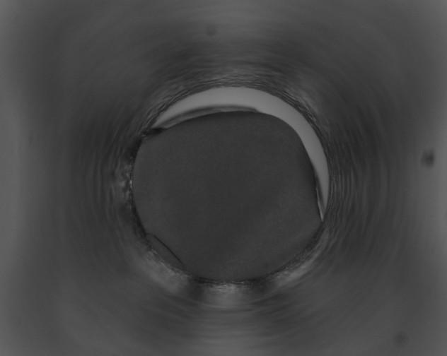 X0000091190237200708301243