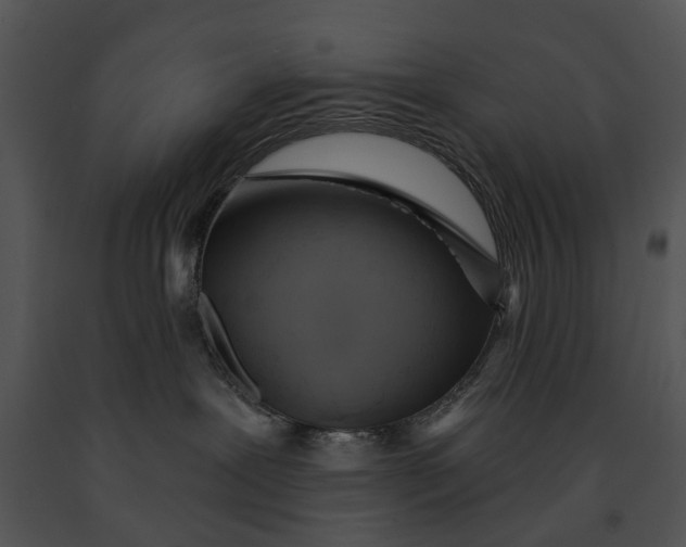 X0000091190239200708301243