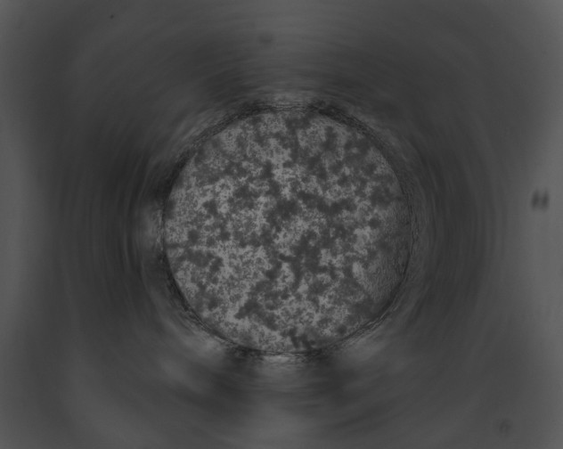 X0000091190240200708301243