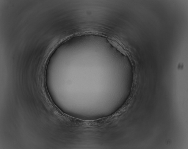 X0000091190241200708301243