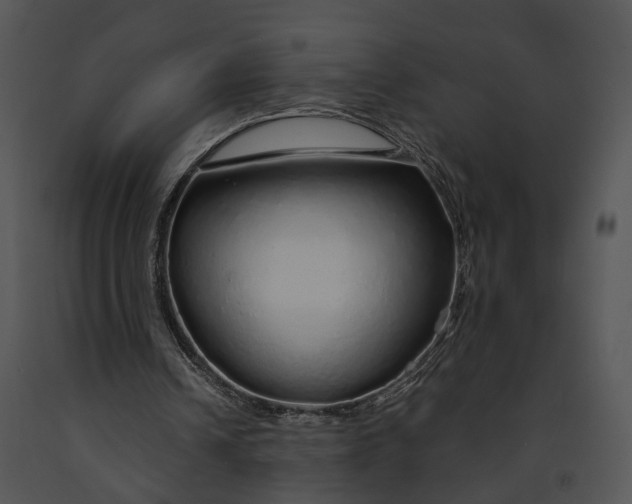 X0000091190242200708301243